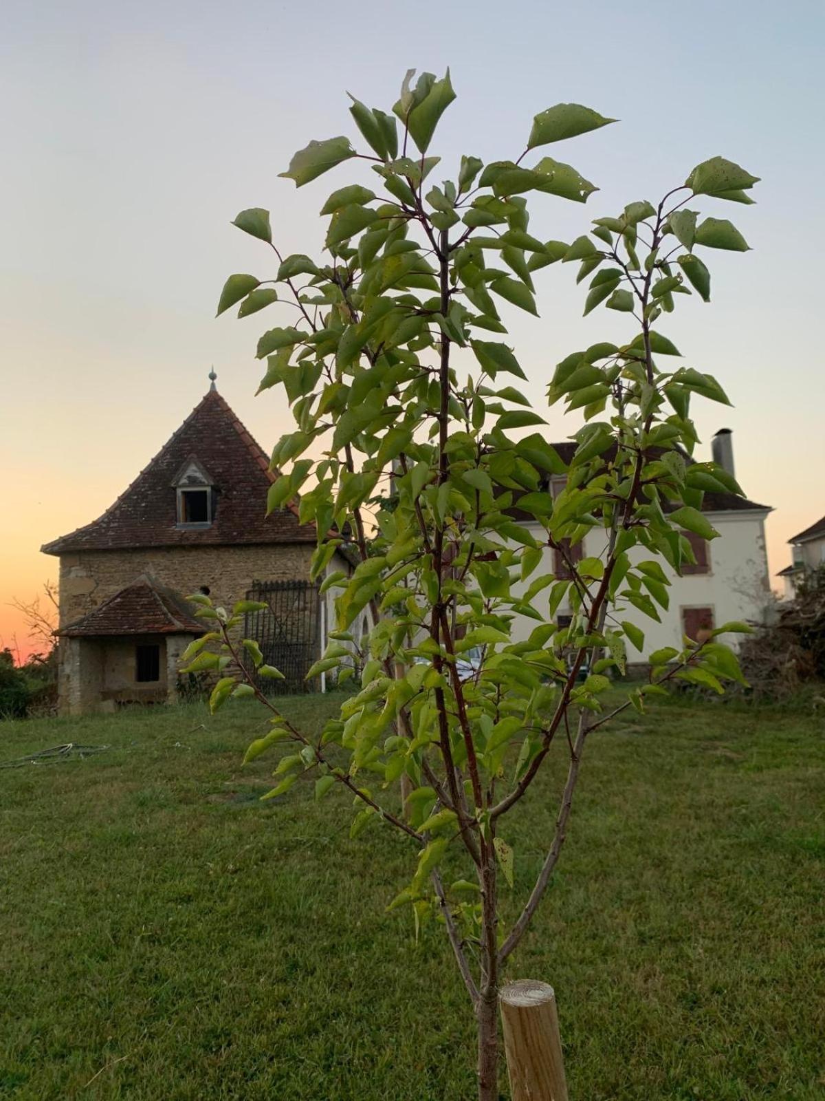 Bed and Breakfast La Poesie Lagor Exterior foto